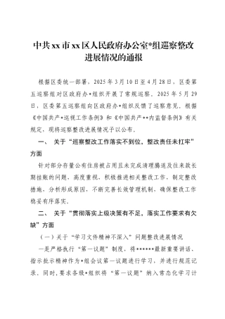 政府办巡察整改进展情况通报