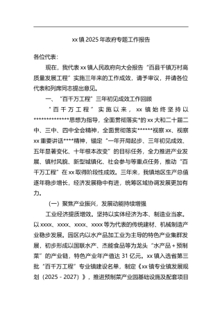 镇2025年政府专题工作报告
