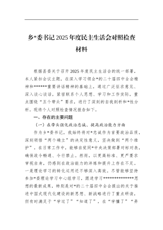 乡书记2025年度民主生活会对照检查材料