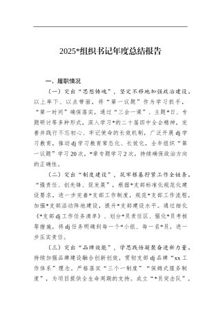 2025年党组织书记年度总结报告