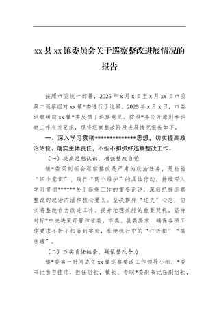 镇委员会关于巡察整改进展情况的报告