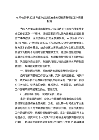 关于2025年度作战训练安全专项教育整顿的工作情况报告