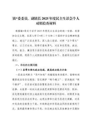 副镇长2025年度民主生活会个人对照检查材料