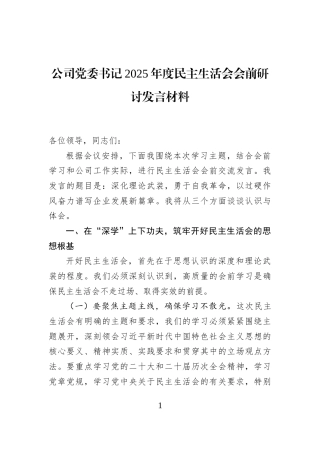 公司党委书记2025年度民主生活会会前研讨发言材料