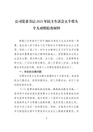 公司党委书记2025年民主生活会五个带头个人对照检查材料