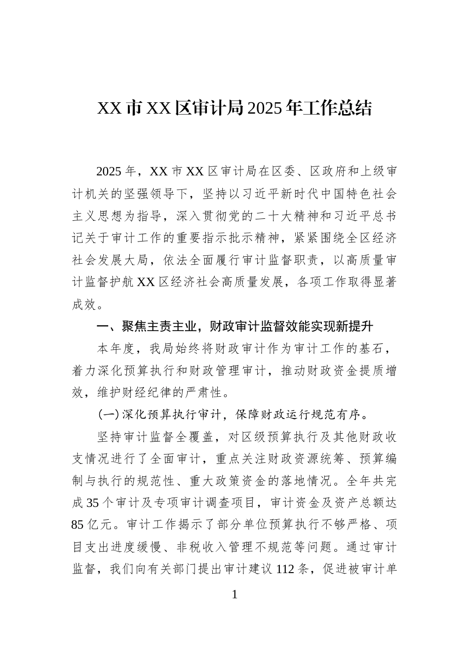 XX市XX区审计局2025年工作总结_第1页