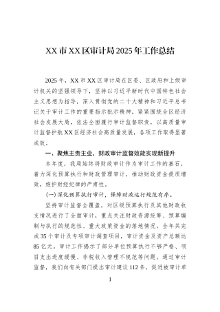 XX市XX区审计局2025年工作总结