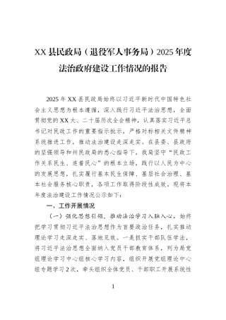 XX县民政局（退役军人事务局）2025年度法治政府建设工作情况的报告