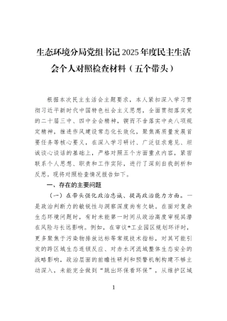 生态环境分局党组书记2025年度民主生活会个人对照检查材料（五个带头）