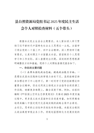 县自然资源局党组书记2025年度民主生活会个人对照检查材料（五个带头）
