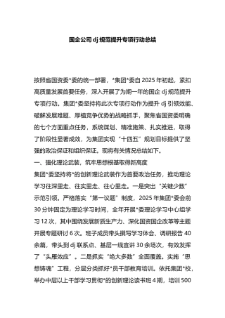 国企公司党建规范提升专项行动总结