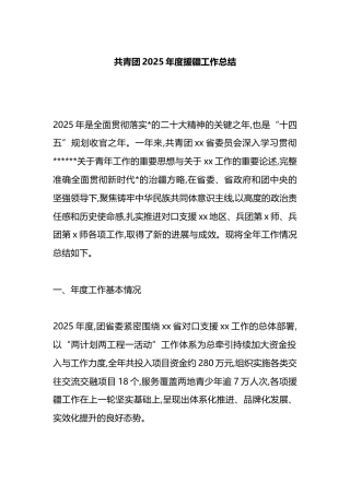 共青团2025年度援疆工作总结