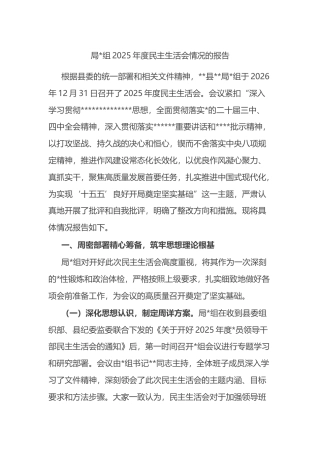 局2025年度民主生活会情况的报告