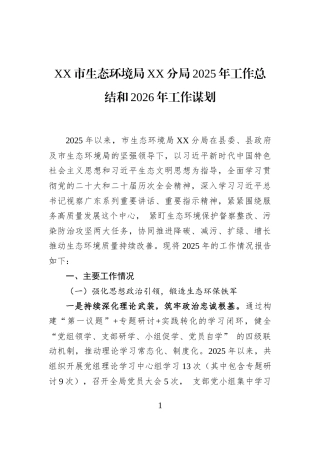 XX市生态环境局XX分局2025年工作总结和2026年工作谋划