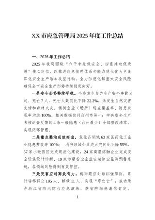 XX市应急管理局2025年度工作总结