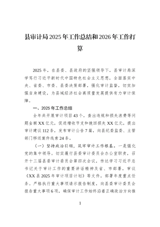 县审计局2025年工作总结和2026年工作打算