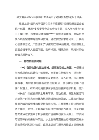 支委会2025年度组织生活会班子对照检查材料