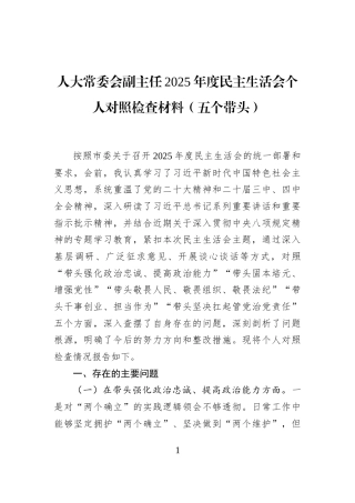 人大常委会副主任2025年度民主生活会个人对照检查材料（五个带头）