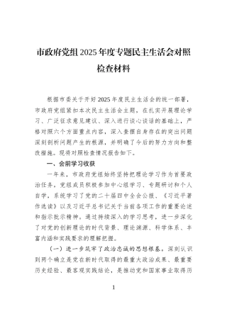 市政府党组2025年度专题民主生活会对照检查材料