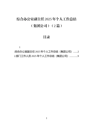 综合办公室副主任2025年个人工作总结（集团公司）（2篇）
