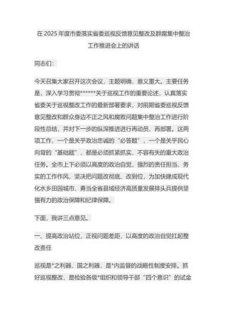 在2025年度市委落实省委巡视反馈意见整改及群腐集中整治工作推进会上的讲话