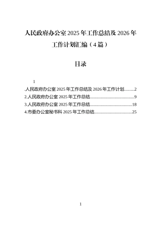 人民政府办公室2025年工作总结及2026年工作计划汇编（4篇）