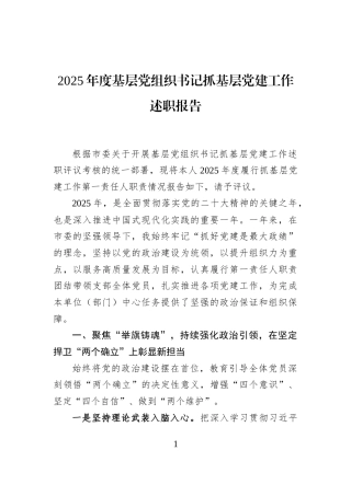 2025年度基层党组织书记抓基层党建工作述职报告