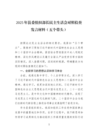 2025年县委组织部长民主生活会对照检查发言材料（五个带头）