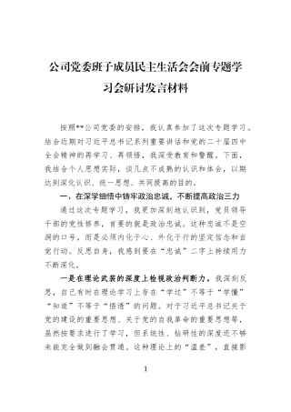 公司党委班子成员民主生活会会前专题学习会研讨发言材料
