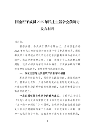 国企班子成员2025年民主生活会会前研讨发言材料