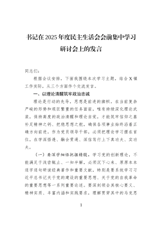书记在2025年度民主生活会会前集中学习研讨会上的发言