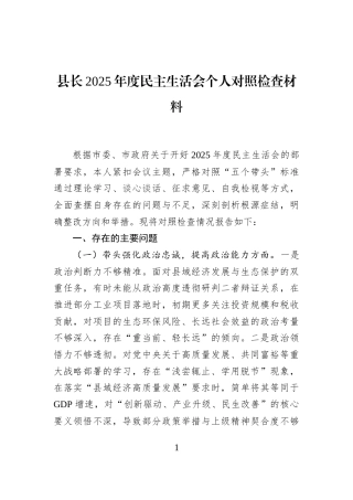县长2025年度民主生活会个人对照检查材料