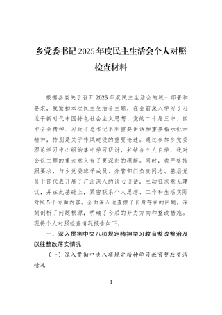 乡党委书记2025年度民主生活会个人对照检查材料