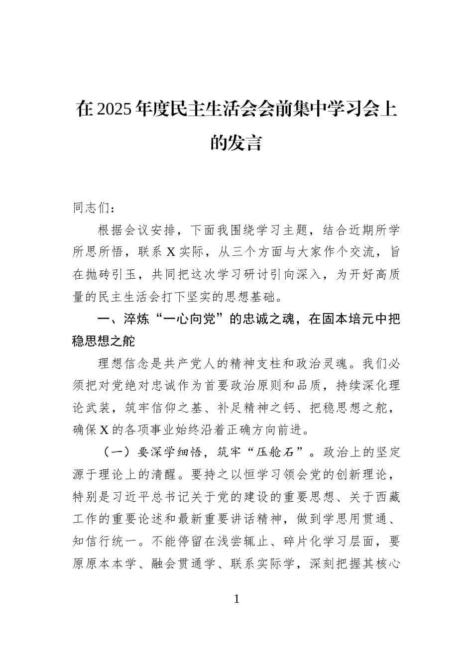 在2025年度民主生活会会前集中学习会上的发言_第1页