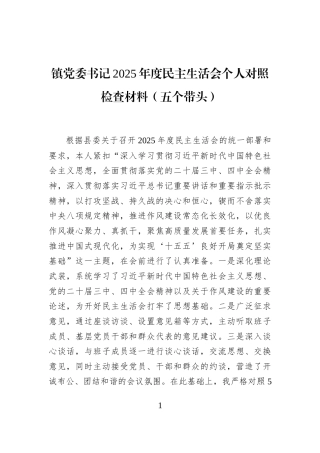镇党委书记2025年度民主生活会个人对照检查材料（五个带头）
