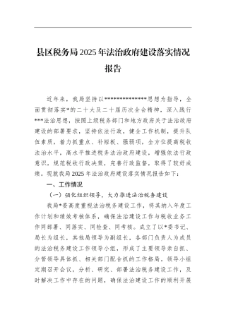 县区税务局2025年法治政府建设落实情况报告