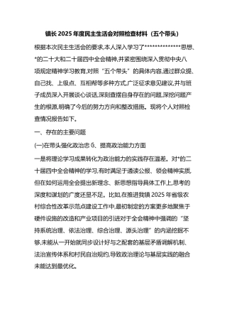 镇长2025年度民主生活会对照检查材料（五个带头）