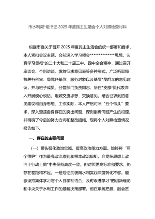 市水利局书记2025年度民主生活会个人对照检查材料