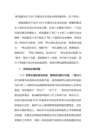 镇副书记2025年度民主生活会对照检查材料（五个带头）