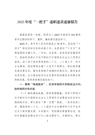 2025年度“一把手”述职述责述廉报告