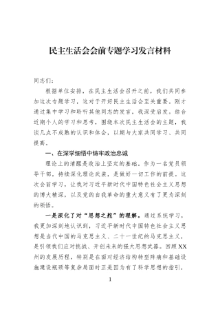 民主生活会会前专题学习发言材料