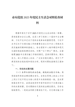 市局党组2025年度民主生活会对照检查材料
