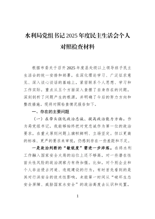 水利局党组书记2025年度民主生活会个人对照检查材料