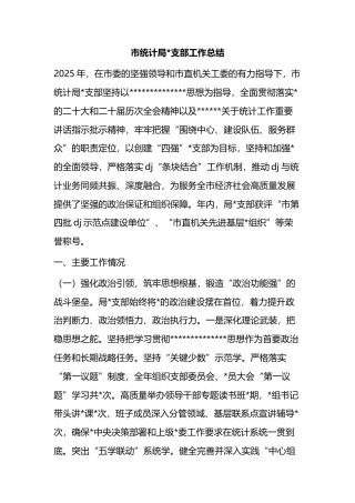 市统计局支部工作总结