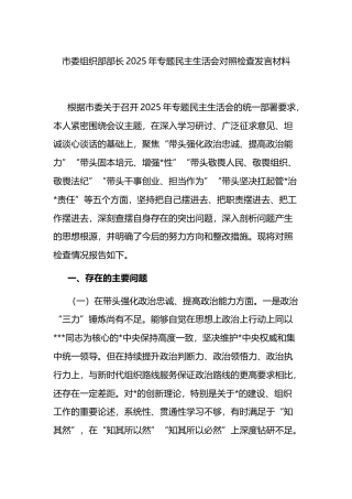 市委组织部部长2025年专题民主生活会对照检查发言材料