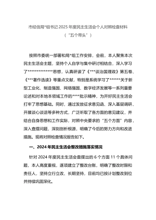 市经信局书记2025年度民主生活会个人对照检查材料