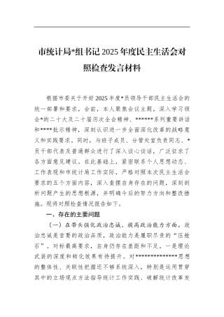 市统计局书记2025年度民主生活会对照检查发言材料