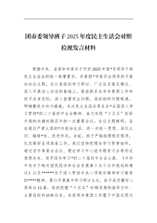 团市委领导班子2025年度民主生活会对照检视发言材料
