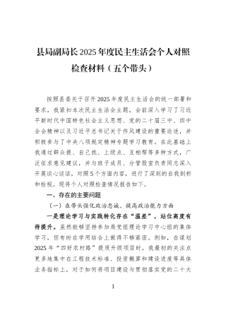 县局副局长2025年度民主生活会个人对照检查材料（五个带头）