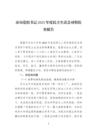 市局党组书记2025年度民主生活会对照检查报告
